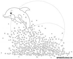 Coloriage de dauphin