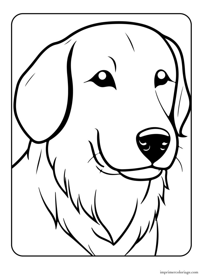 Coloriage chien berger - dessin gratuit &agrave; imprimer