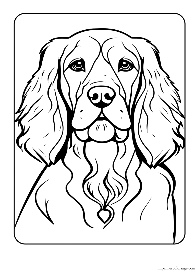 Coloriage chien cicker - dessin gratuit &agrave; imprimer