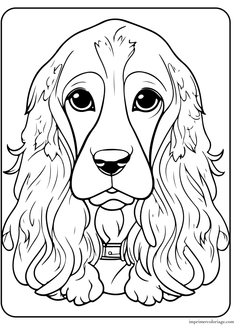 Coloriage chien cocker chiot - dessin gratuit &agrave; imprimer