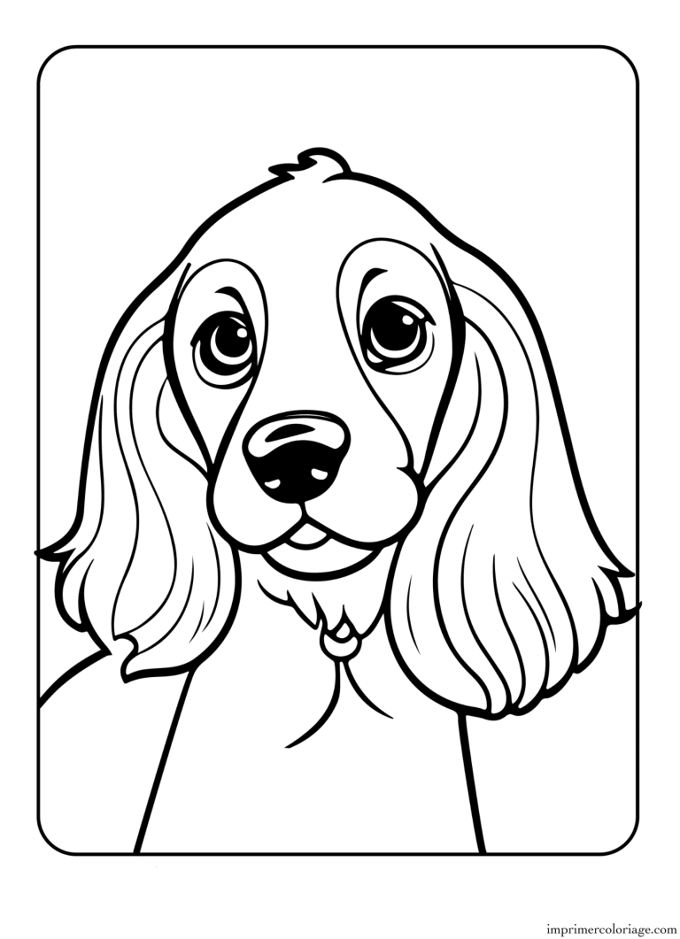 Coloriage chien cocker fille - dessin gratuit &agrave; imprimer