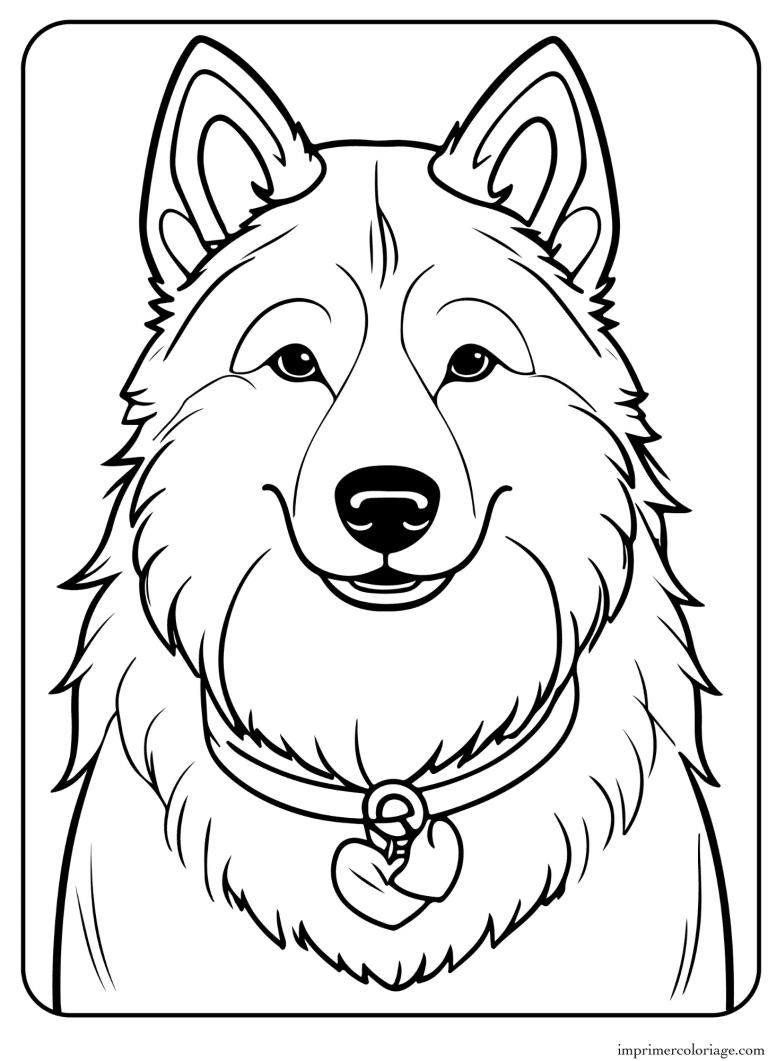Coloriage chien collier coeur - dessin gratuit &agrave; imprimer