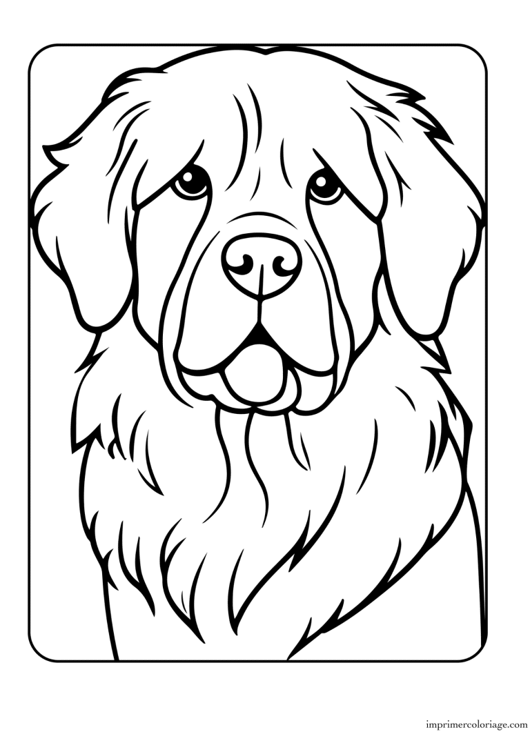 Coloriage chien de ferme - dessin gratuit &agrave; imprimer
