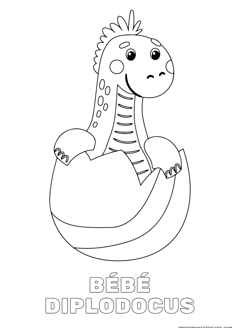 coloriage b&eacute;b&eacute; diplodocus - dessin gratuit &agrave; imprimer