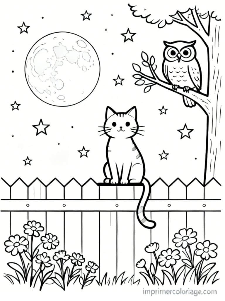 coloriage chat lune nuit etoiles 1 - dessin gratuit &agrave; imprimer
