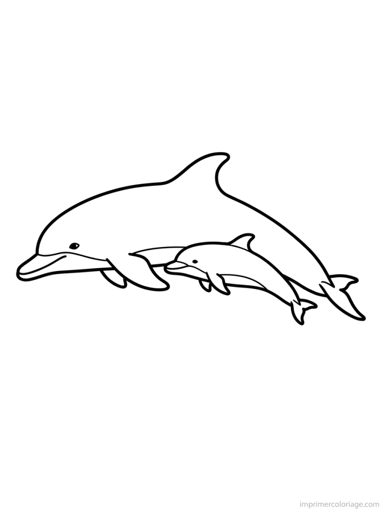 coloriage dauphin bebe mere cote - dessin gratuit &agrave; imprimer