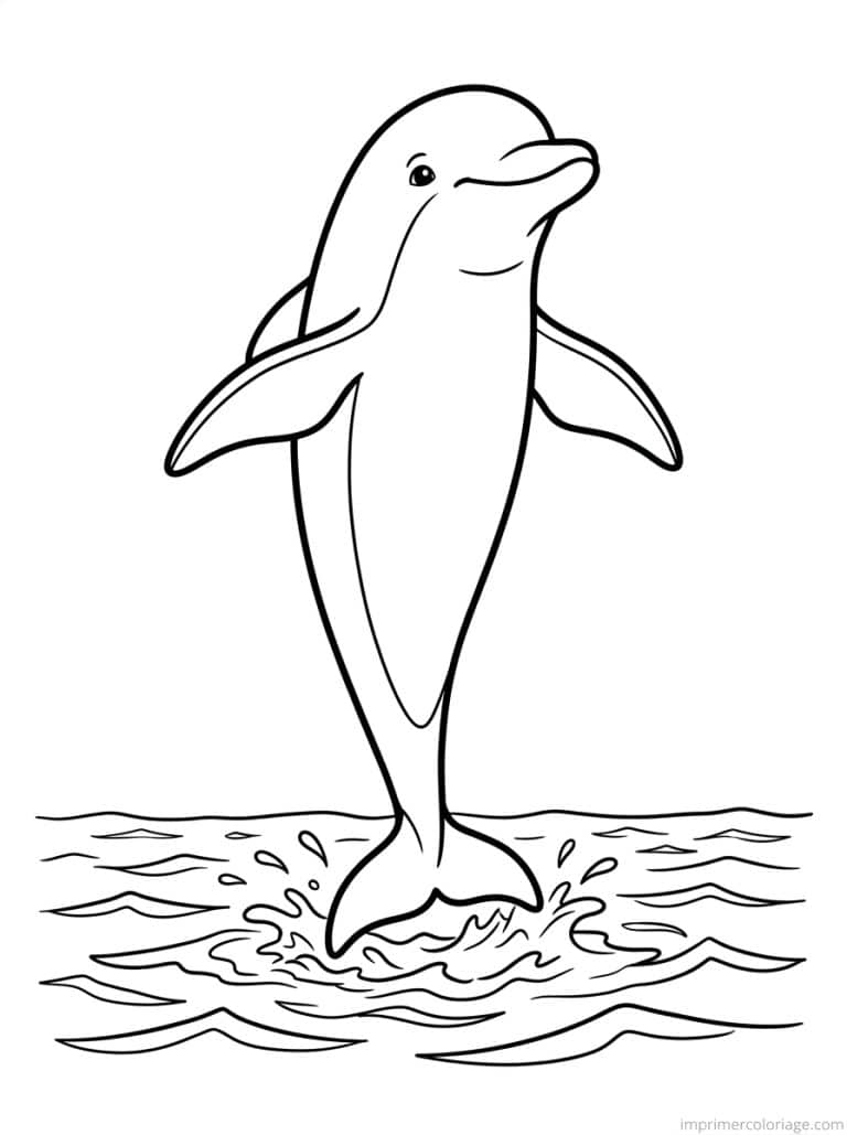 coloriage dauphin debout queue - dessin gratuit &agrave; imprimer