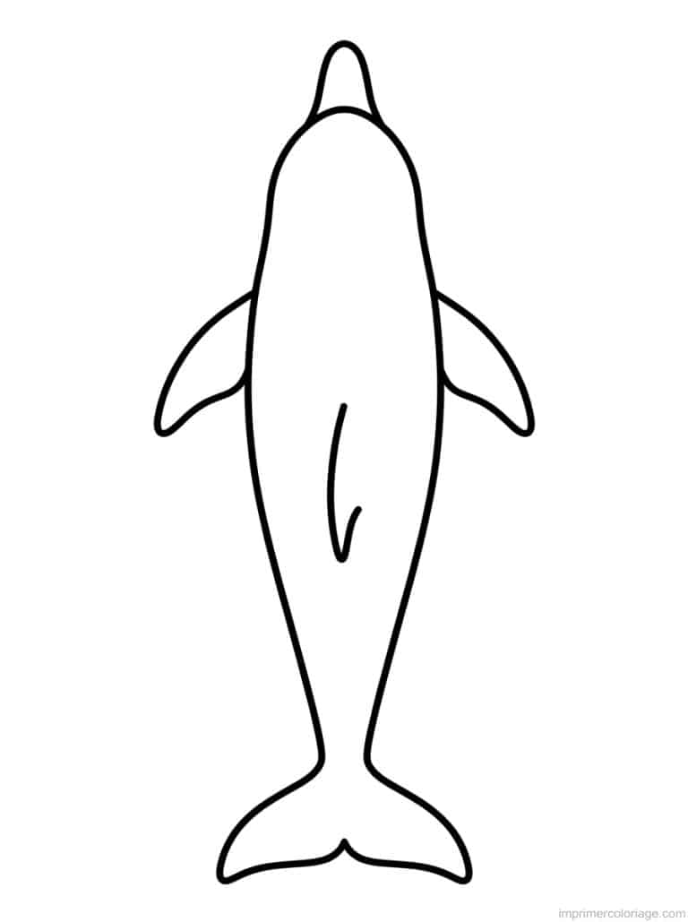 coloriage dauphin dessus vue - dessin gratuit &agrave; imprimer