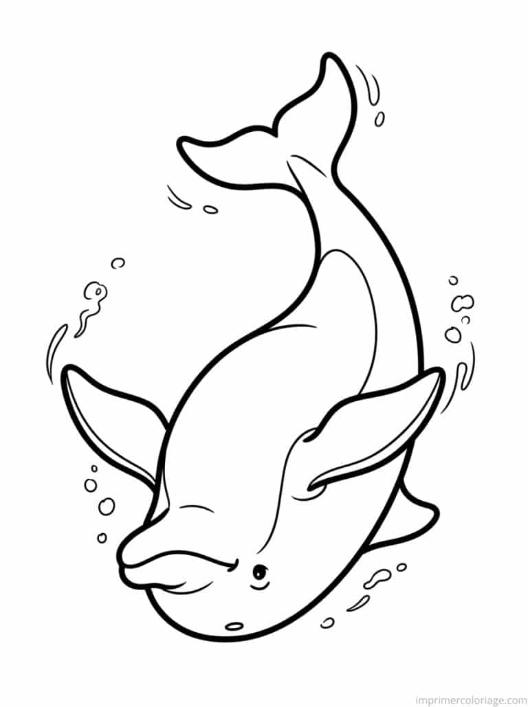 coloriage dauphin nage dos - dessin gratuit &agrave; imprimer