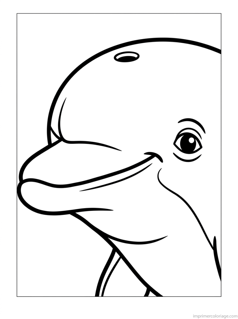 coloriage dauphin portrait visage - dessin gratuit &agrave; imprimer