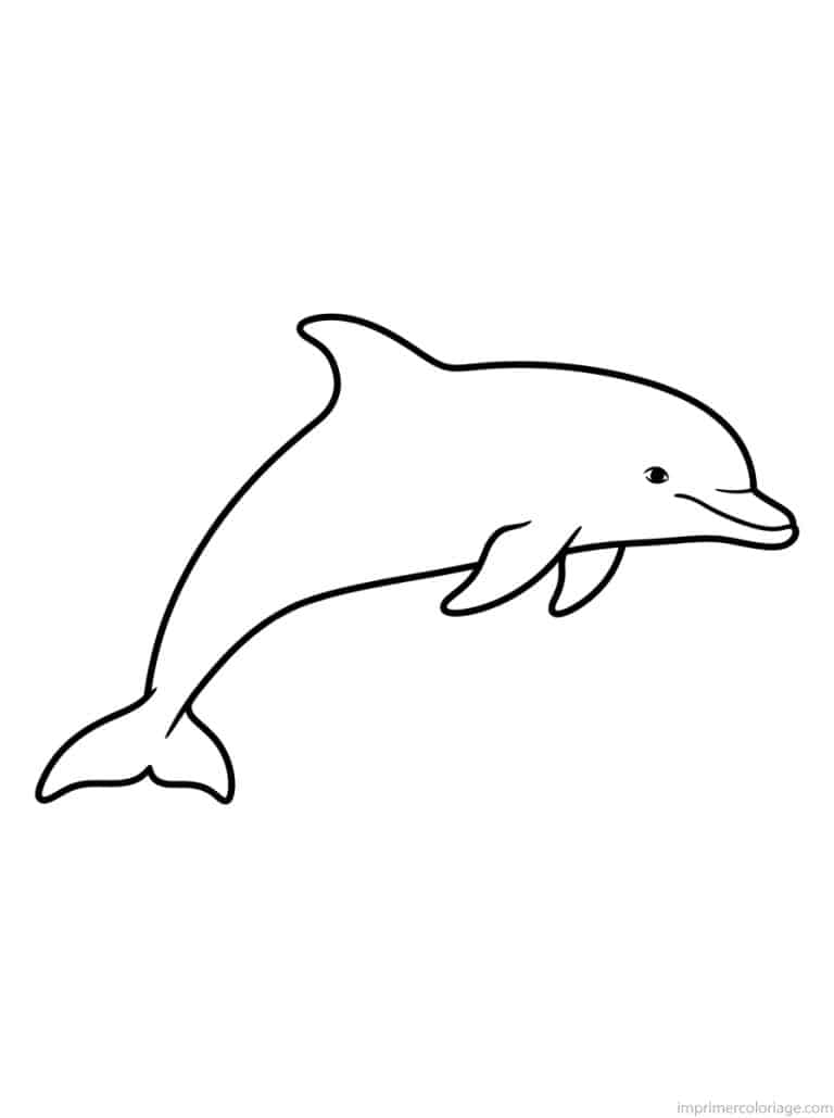 coloriage dauphin profil nageoire - dessin gratuit &agrave; imprimer