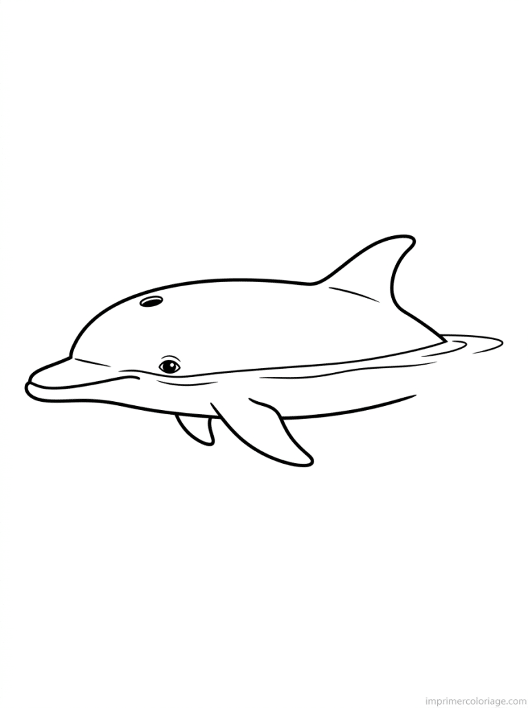 coloriage dauphin surface repos - dessin gratuit &agrave; imprimer