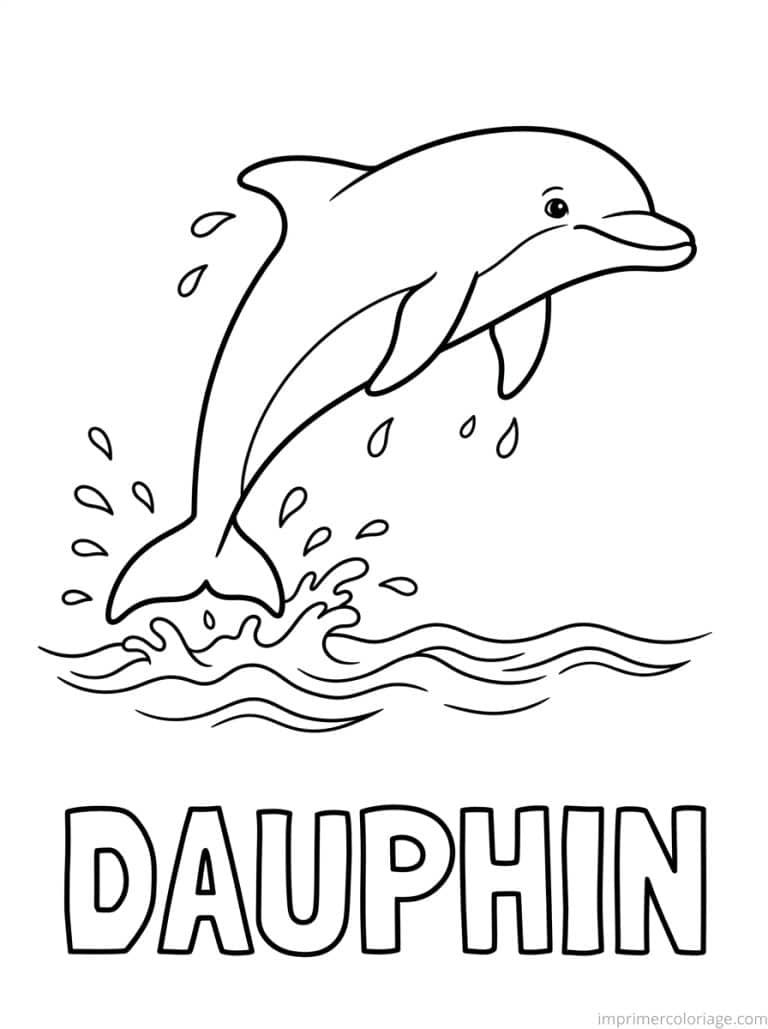 coloriage dauphin titre bas - dessin gratuit &agrave; imprimer