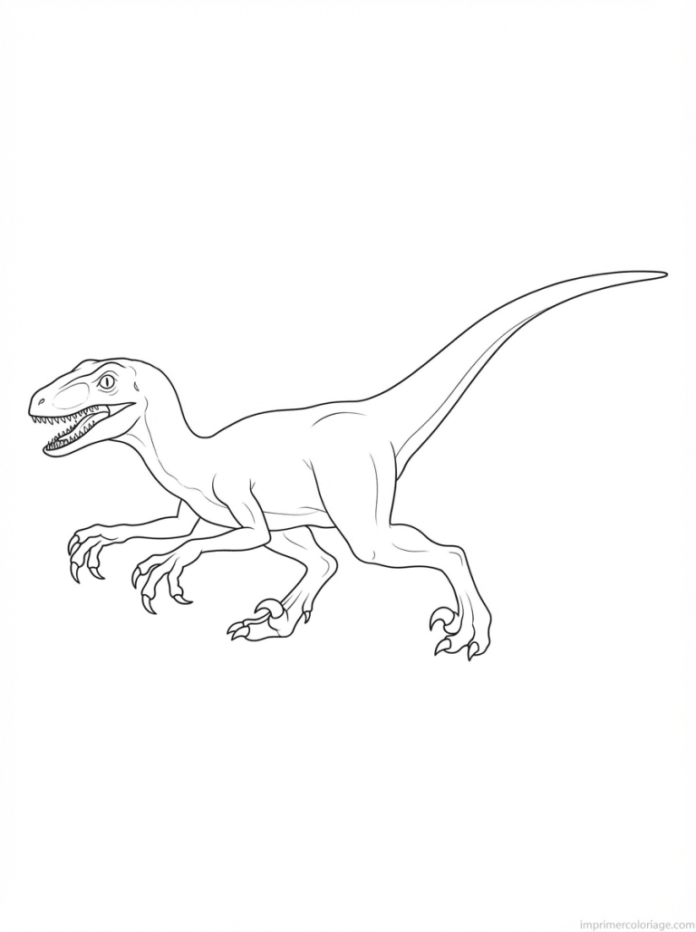 coloriage dinosaure velociraptor griffe - dessin gratuit &agrave; imprimer