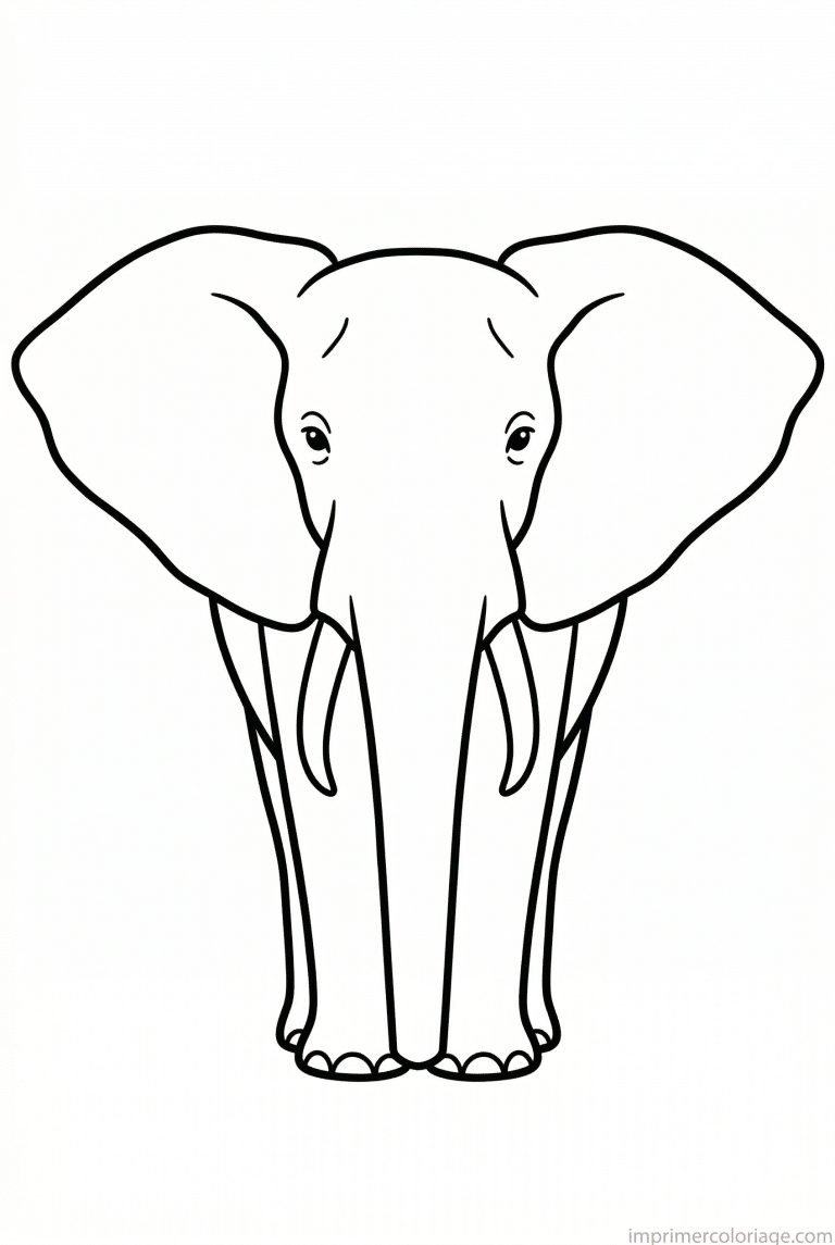 coloriage elephant face oreilles trompe - dessin gratuit &agrave; imprimer