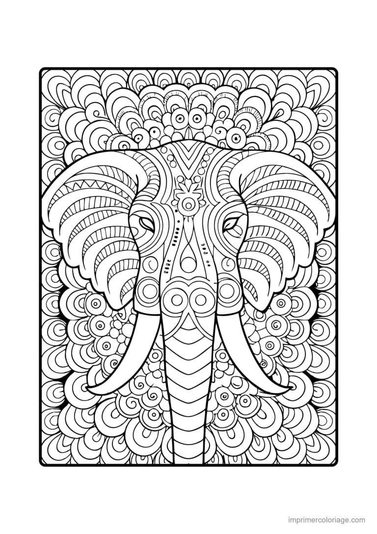 coloriage elephant mandala 01 - dessin gratuit &agrave; imprimer