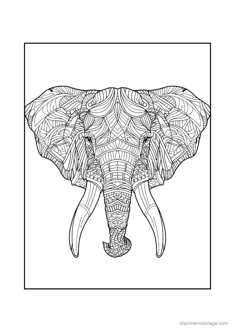 coloriage elephant mandala 02 - dessin gratuit &agrave; imprimer
