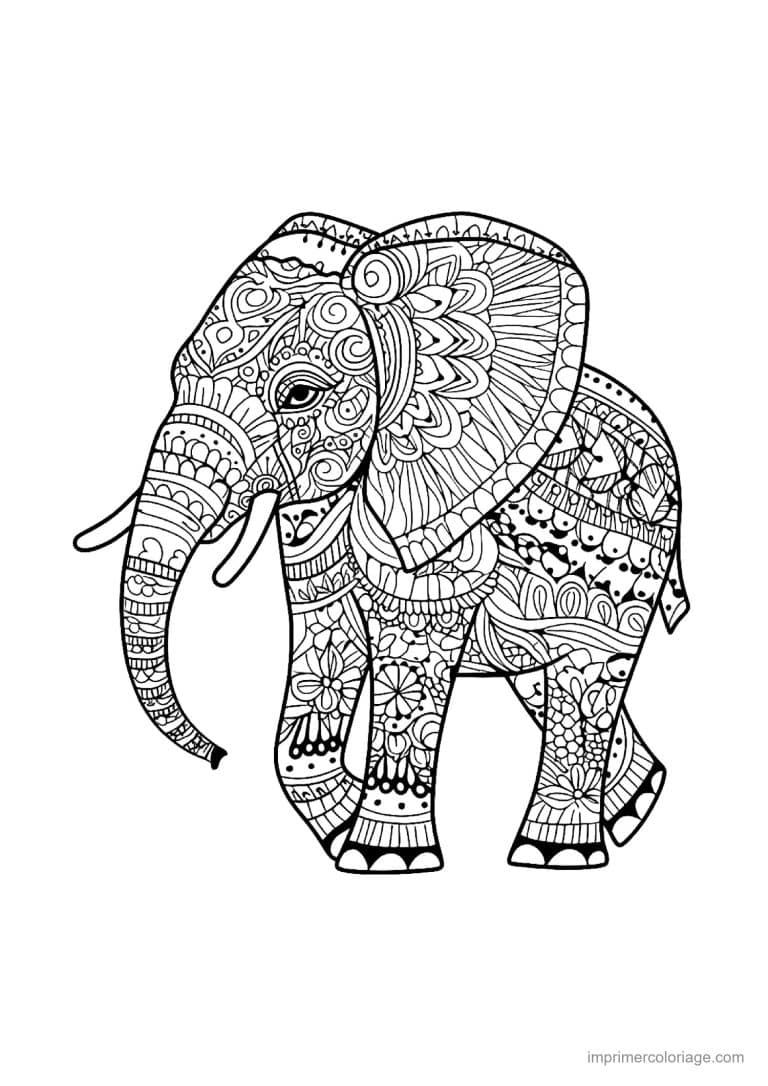 coloriage elephant mandala 06 - dessin gratuit &agrave; imprimer