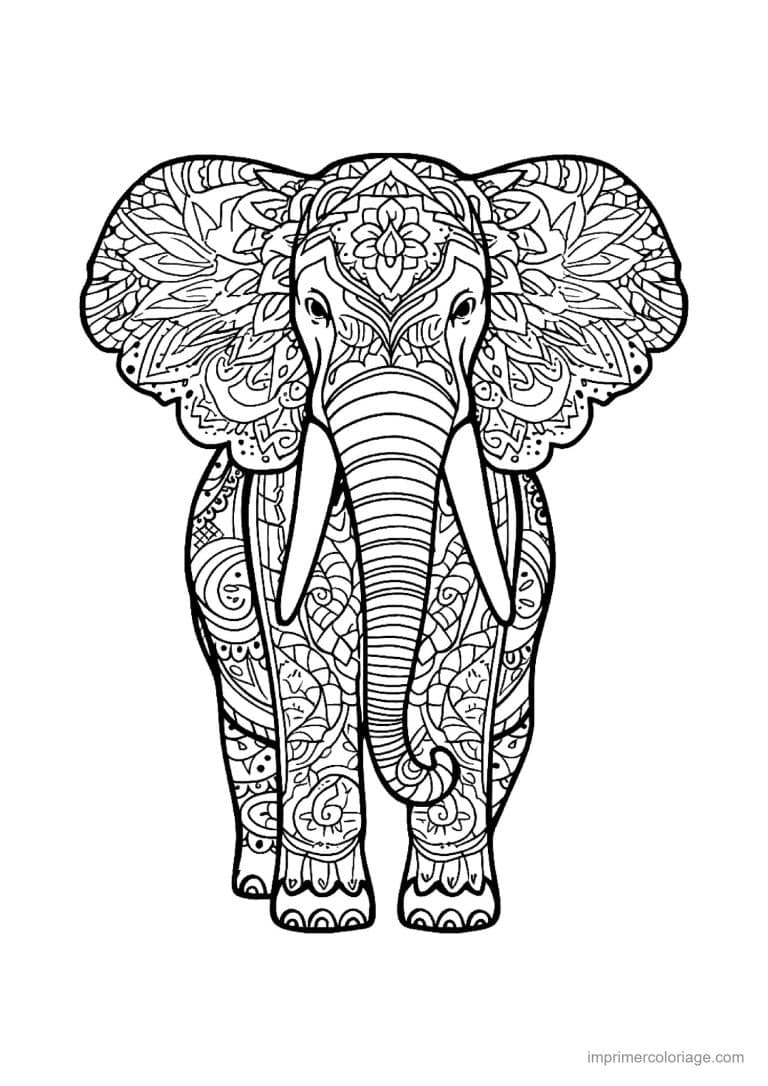 coloriage elephant mandala 09 - dessin gratuit &agrave; imprimer