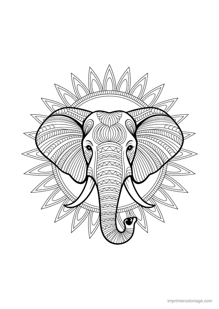coloriage elephant mandala 14 - dessin gratuit &agrave; imprimer