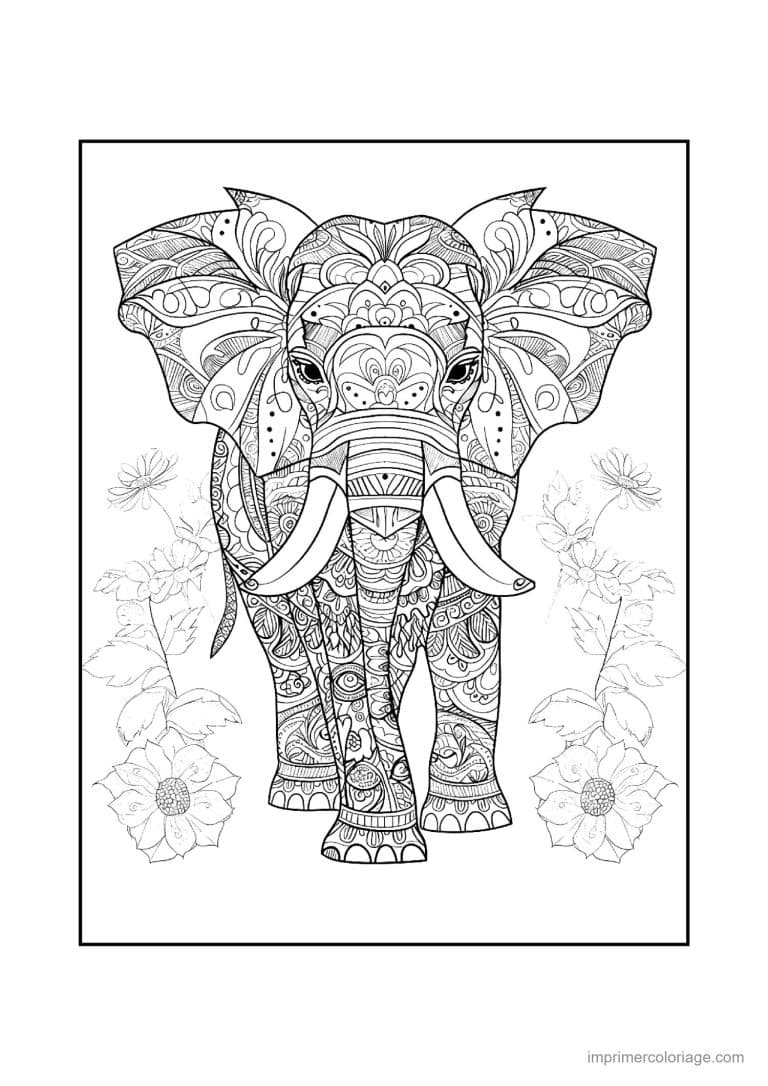 coloriage elephant mandala 18 - dessin gratuit &agrave; imprimer