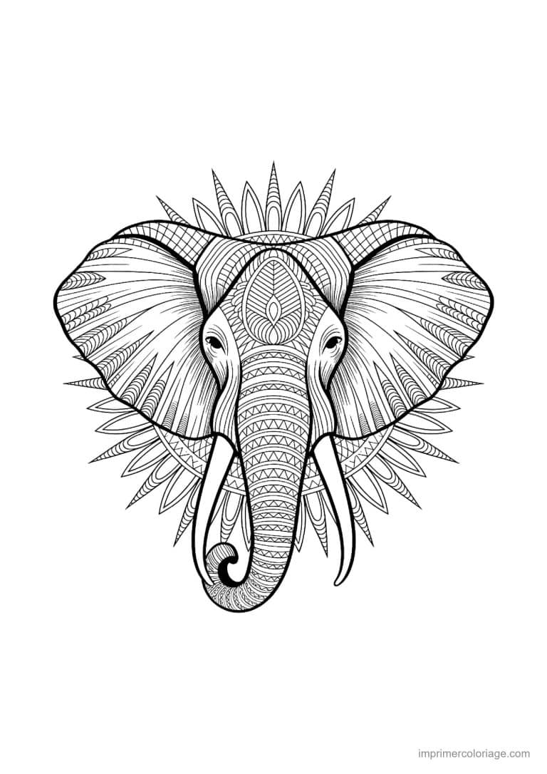 coloriage elephant mandala 33 - dessin gratuit &agrave; imprimer