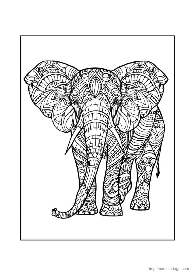 coloriage elephant mandala 34 - dessin gratuit &agrave; imprimer
