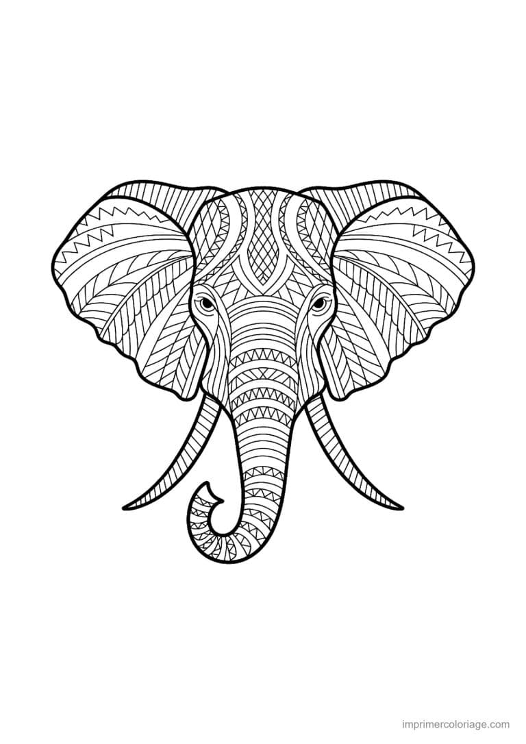 coloriage elephant mandala 35 - dessin gratuit &agrave; imprimer