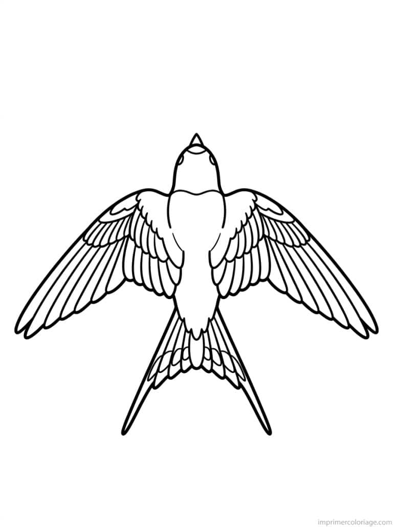 coloriage hirondelle dessus ailes - dessin gratuit &agrave; imprimer