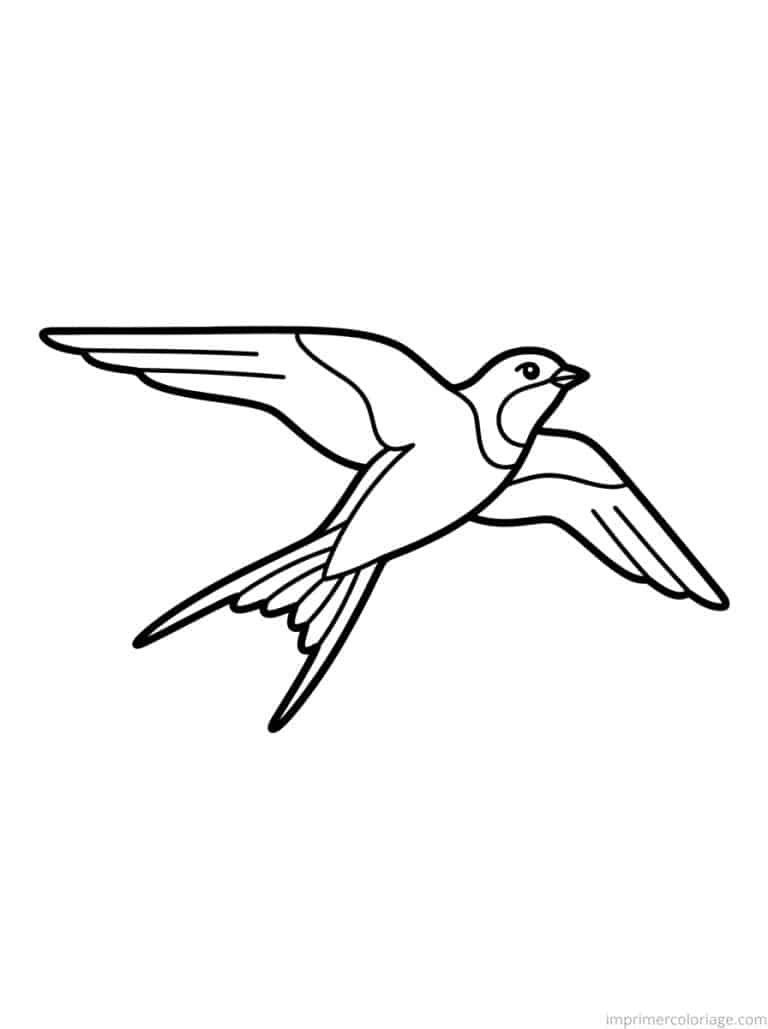 coloriage hirondelle plane thermique - dessin gratuit &agrave; imprimer