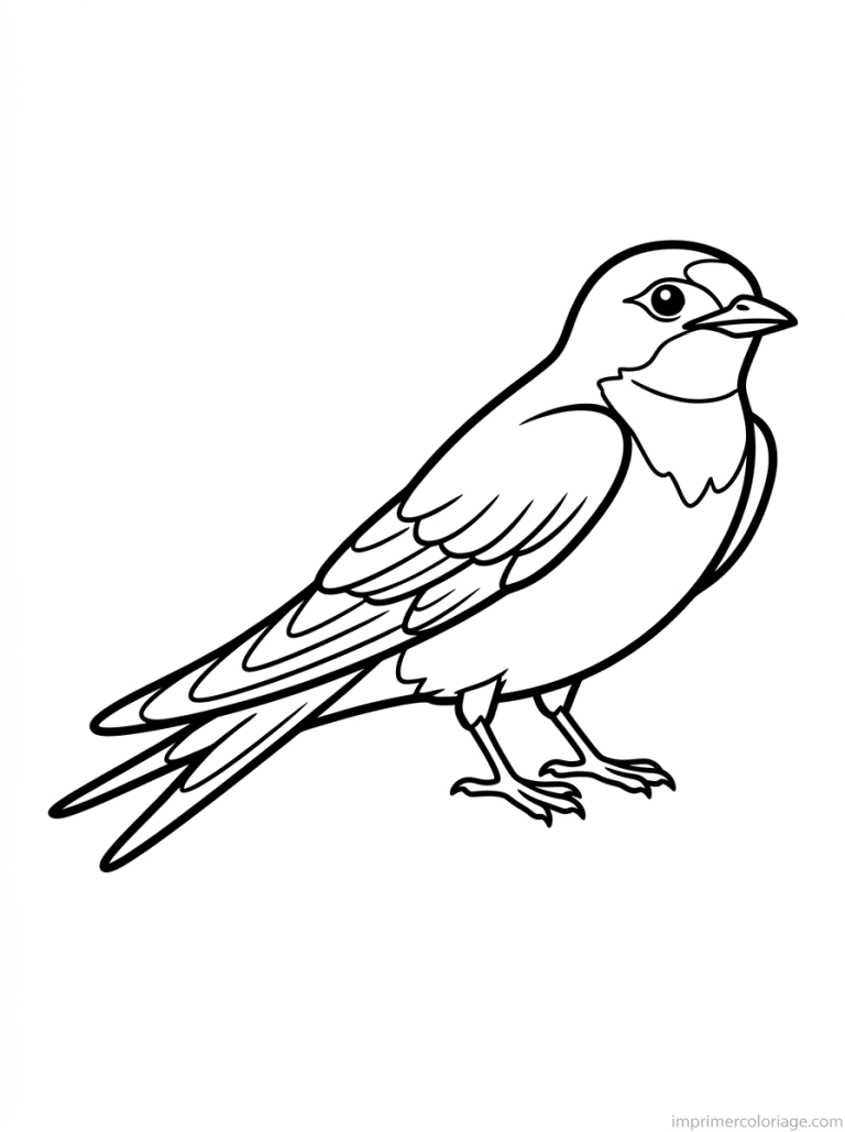 coloriage hirondelle sol ailes fermees - dessin gratuit &agrave; imprimer