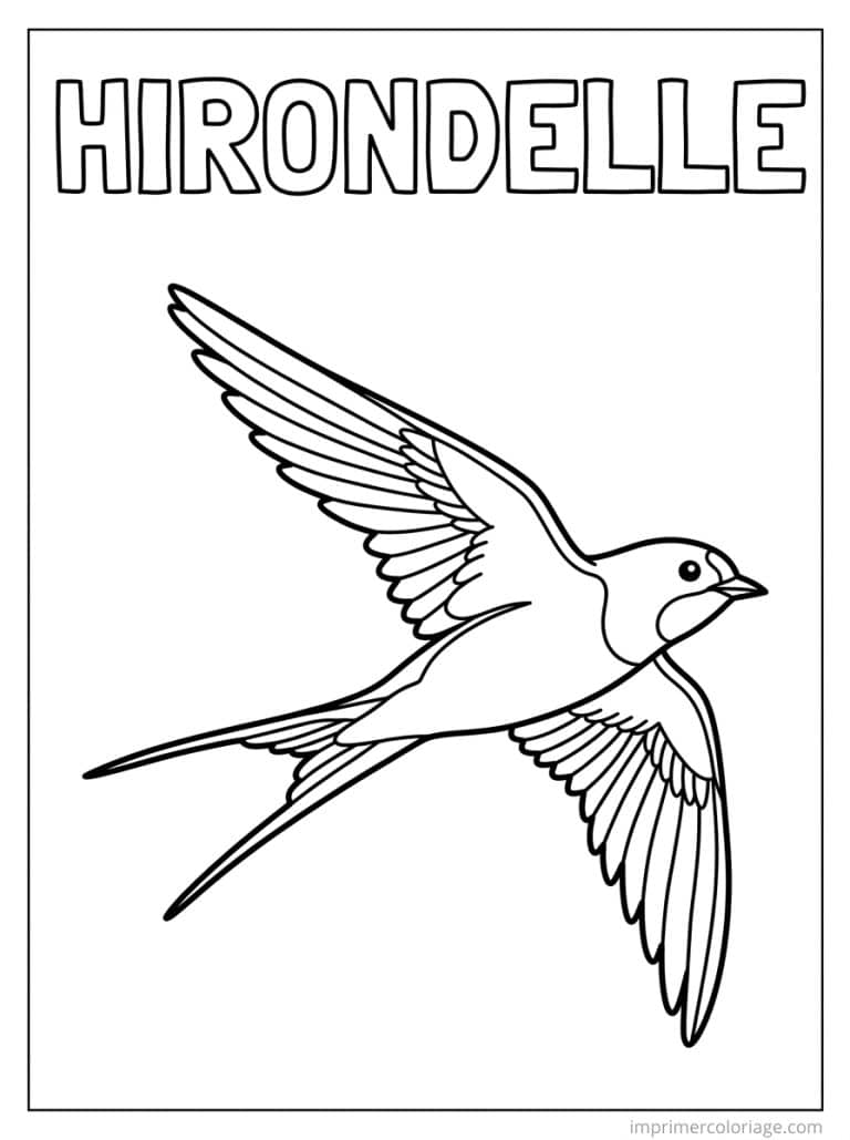 coloriage hirondelle titre haut - dessin gratuit &agrave; imprimer