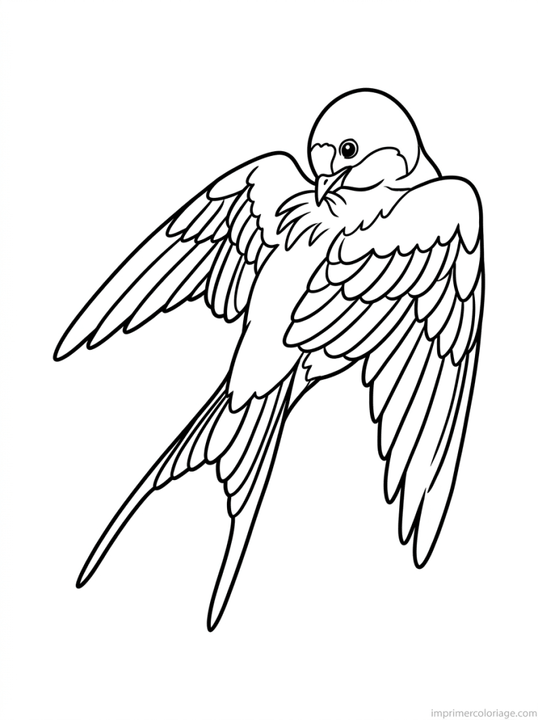 coloriage hirondelle toilette plumes - dessin gratuit &agrave; imprimer