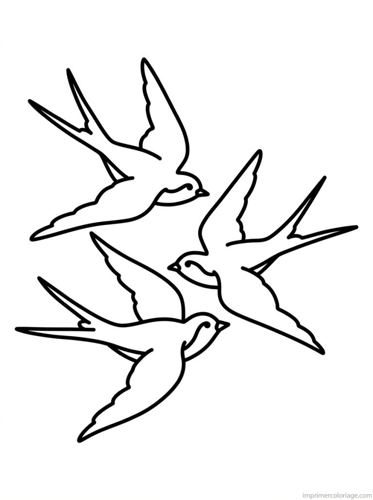 coloriage hirondelle trio formation vol - dessin gratuit &agrave; imprimer