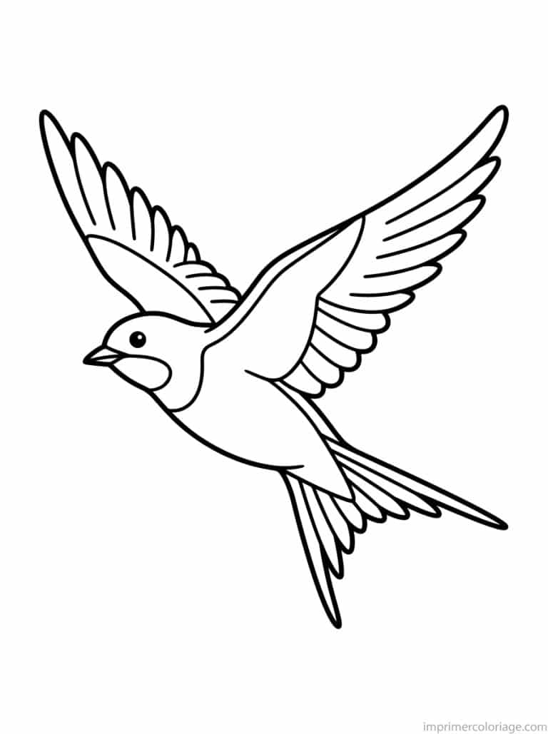 coloriage hirondelle vol ailes deployees - dessin gratuit &agrave; imprimer