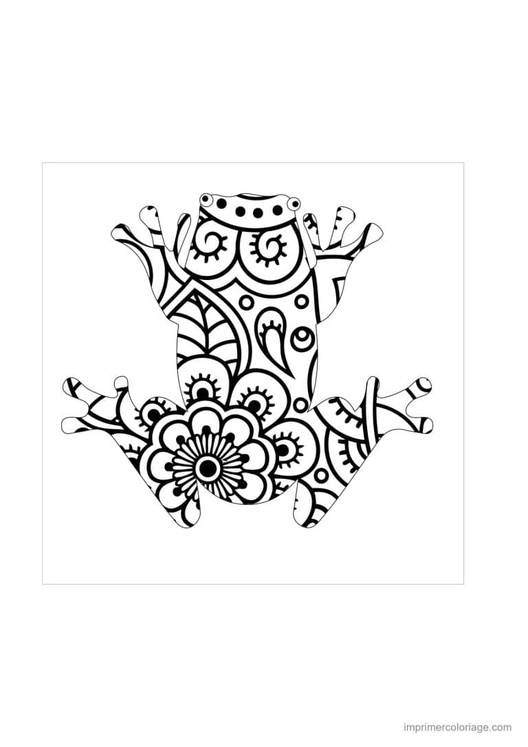 coloriage mandala chat grenouille - dessin gratuit &agrave; imprimer