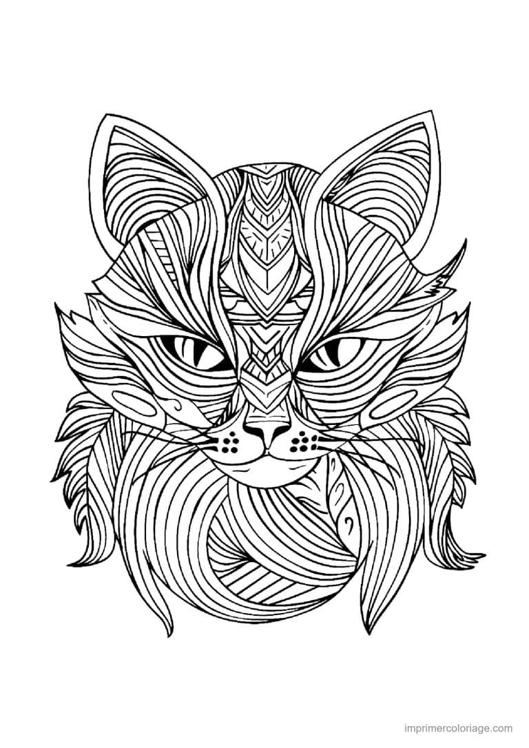 coloriage mandala chat maine coon lignes - dessin gratuit &agrave; imprimer