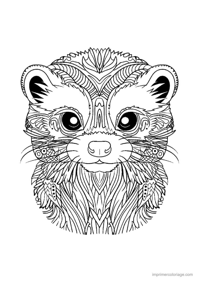 coloriage mandala chat panda roux - dessin gratuit &agrave; imprimer