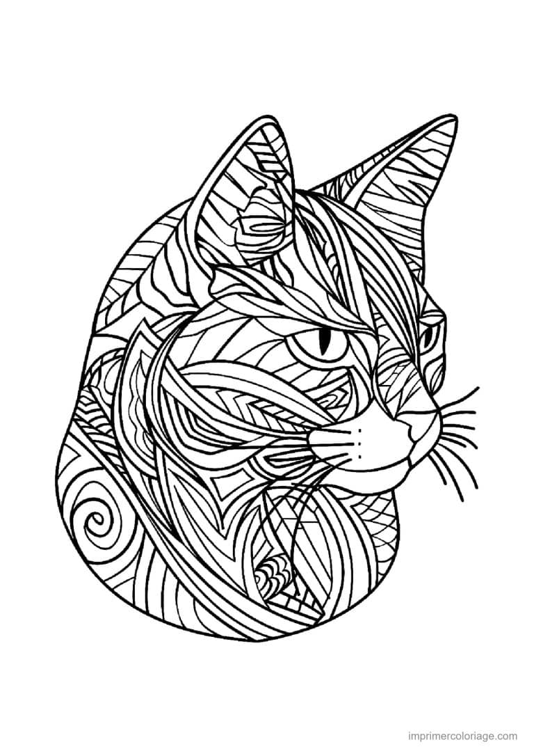 coloriage mandala chat profil spirale - dessin gratuit &agrave; imprimer
