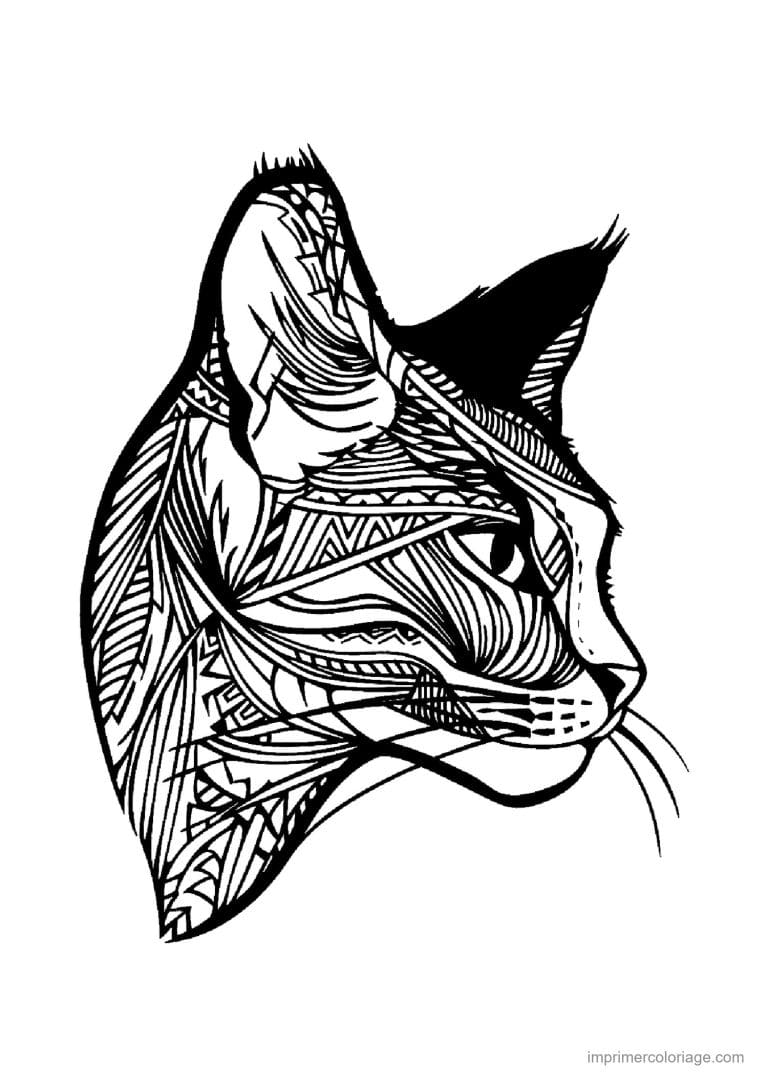 coloriage mandala chat profil tribal - dessin gratuit &agrave; imprimer