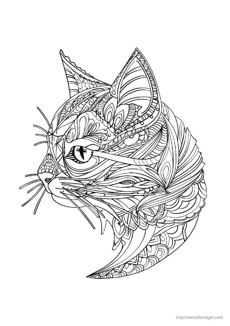 coloriage mandala chat profil zentangle 3 - dessin gratuit &agrave; imprimer