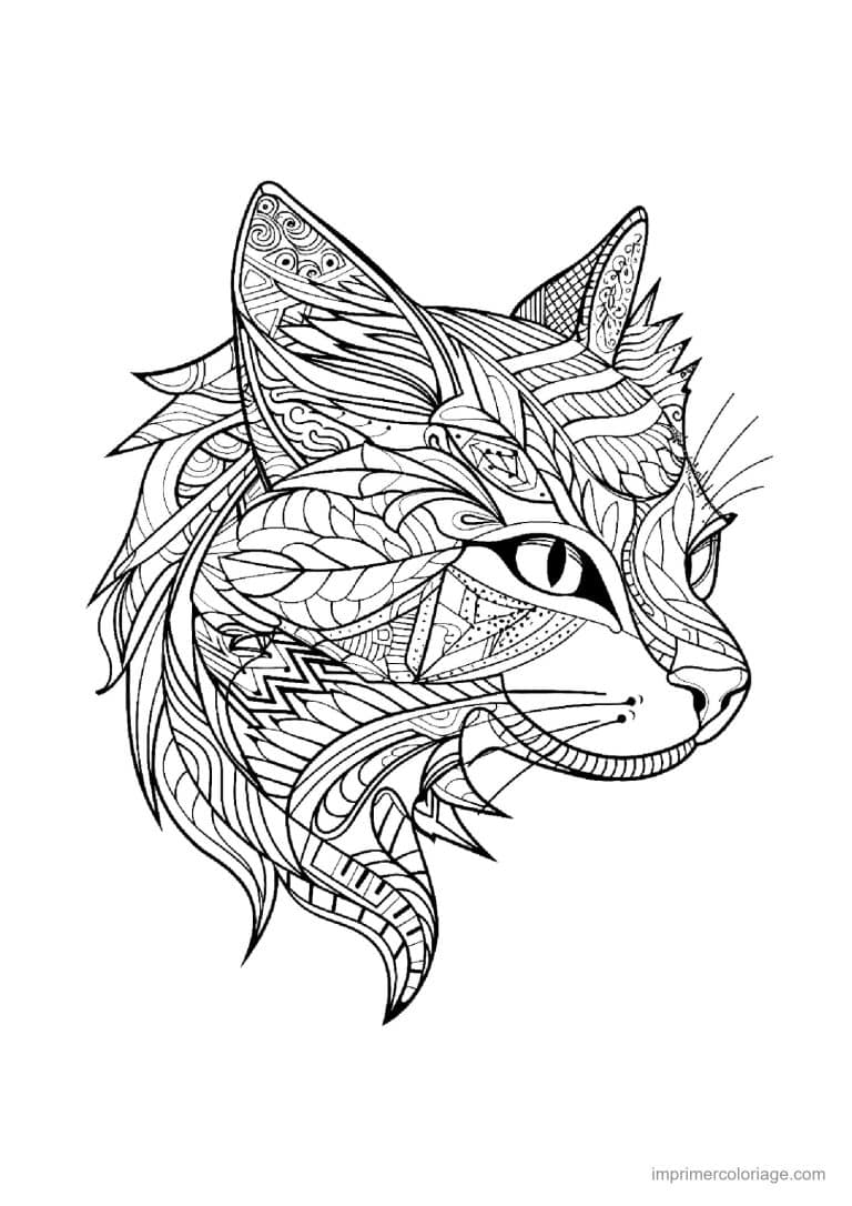 coloriage mandala chat profil zentangle 4 - dessin gratuit &agrave; imprimer