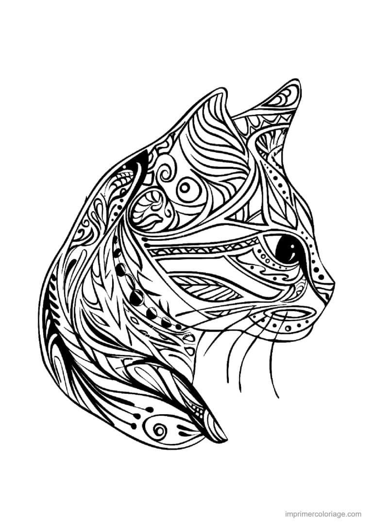 coloriage mandala chat profil zentangle - dessin gratuit &agrave; imprimer