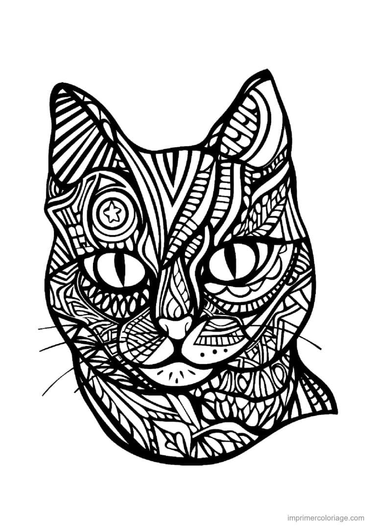 coloriage mandala chat tete zentangle etoile - dessin gratuit &agrave; imprimer