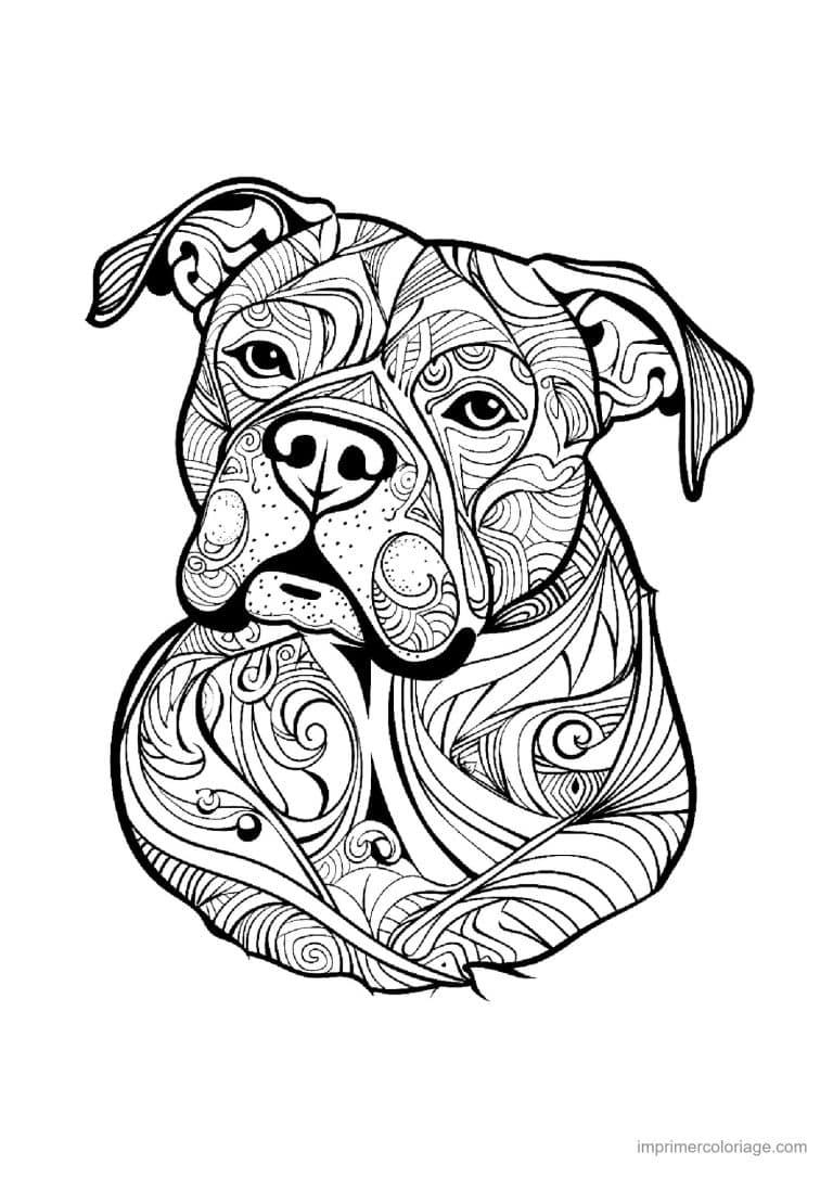 coloriage mandala chien american staffordshire - dessin gratuit &agrave; imprimer