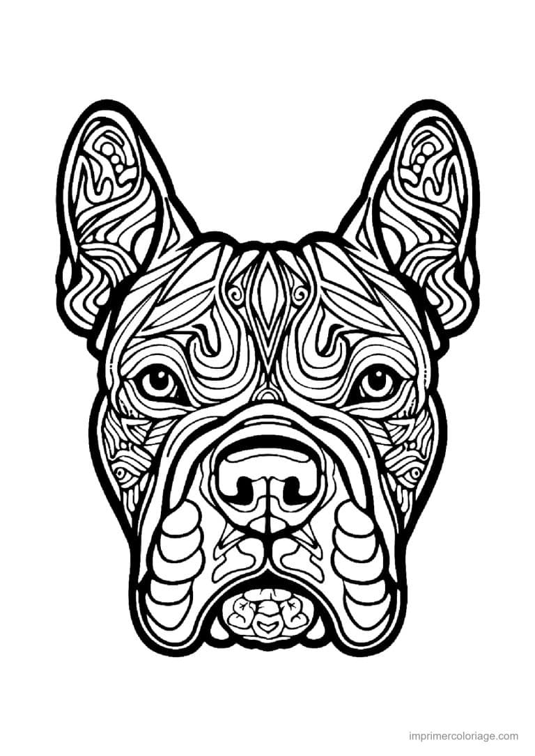 coloriage mandala chien bouledogue francais - dessin gratuit &agrave; imprimer