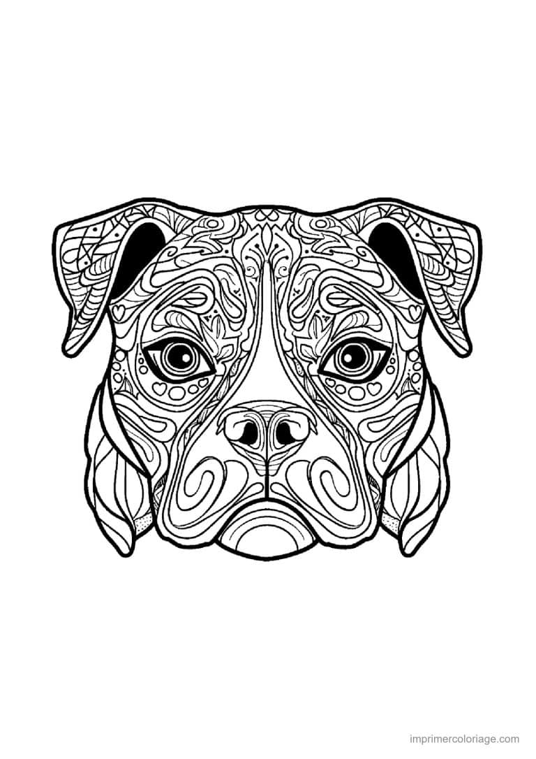 coloriage mandala chien boxer 3 - dessin gratuit &agrave; imprimer