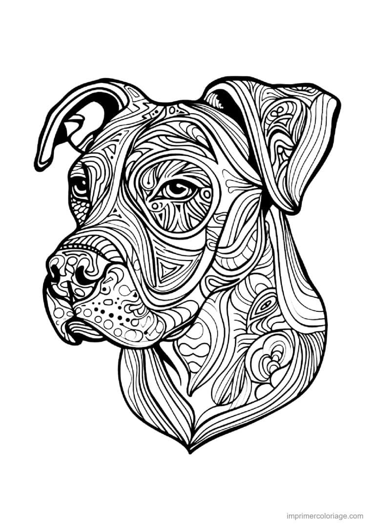 coloriage mandala chien boxer 4 - dessin gratuit &agrave; imprimer