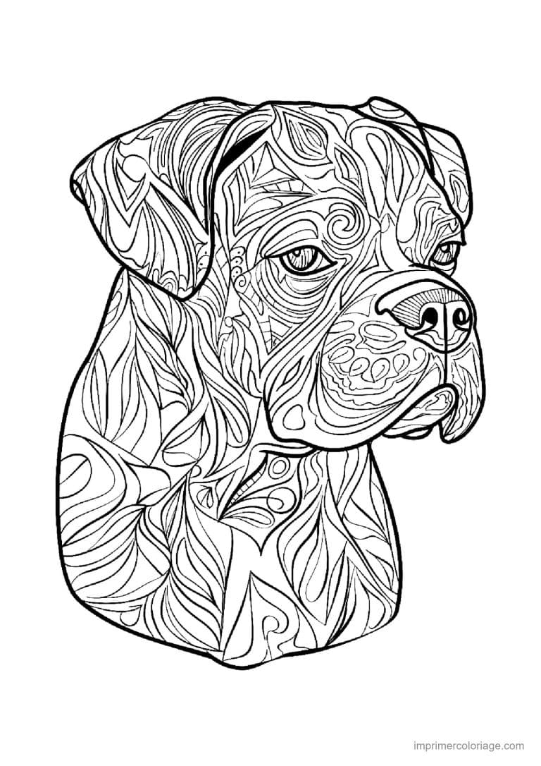 coloriage mandala chien boxer 5 - dessin gratuit &agrave; imprimer