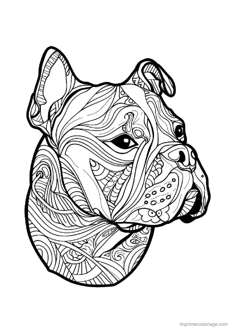 coloriage mandala chien boxer - dessin gratuit &agrave; imprimer